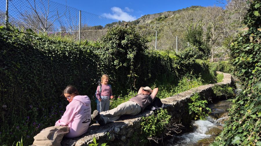 טרק המנליון